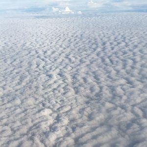 Meet your Posher, Dallas